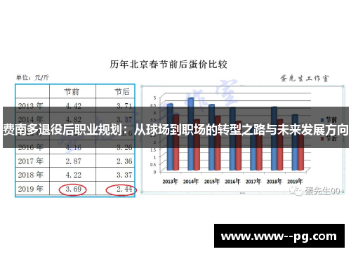 费南多退役后职业规划：从球场到职场的转型之路与未来发展方向