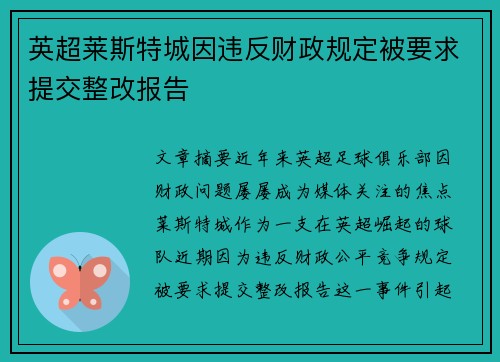 英超莱斯特城因违反财政规定被要求提交整改报告